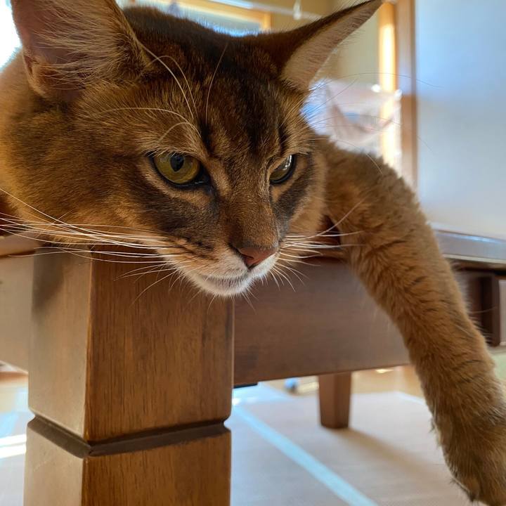 69feae2b 883a 41a6 a9cd 146ec7c7c9b4 1633914819143