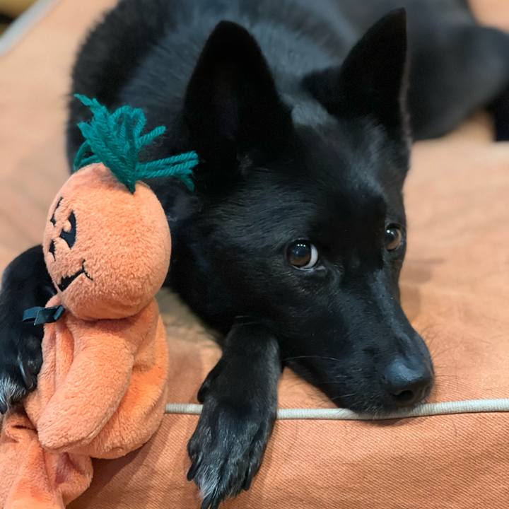 69feef83 4e6d 48a0 b91e 7367f714aef5 1633746087414