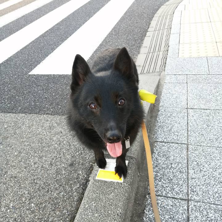 69ff3b58 d1a9 4db9 9ee2 59360236684b 1662414126507