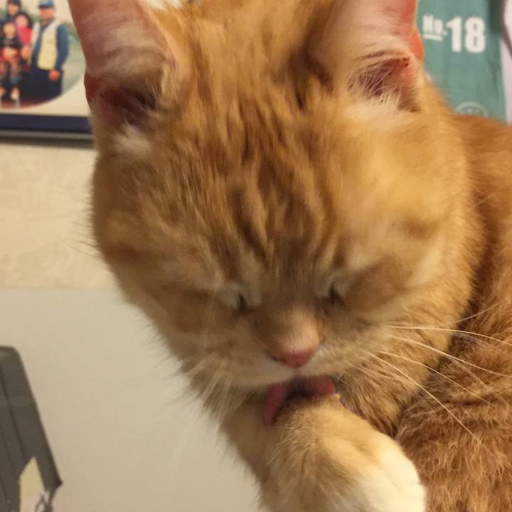 69ff45ab fc05 45bf 9090 7837d98e04d5 1548084645537