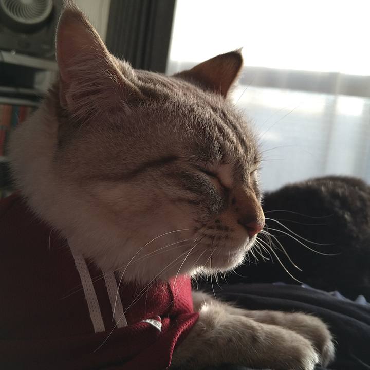 69ffb367 8932 49d8 aac6 ba19ddeda19d 1682239232835