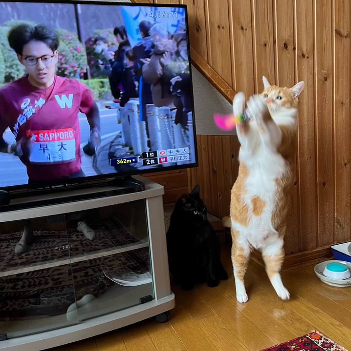 69ffb560 44e8 4241 adc0 b5d2ba41ad11 1767324214655