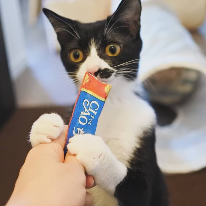 69ffcec6 98c5 4d74 869b e16d61fc4c9e 1708742126925