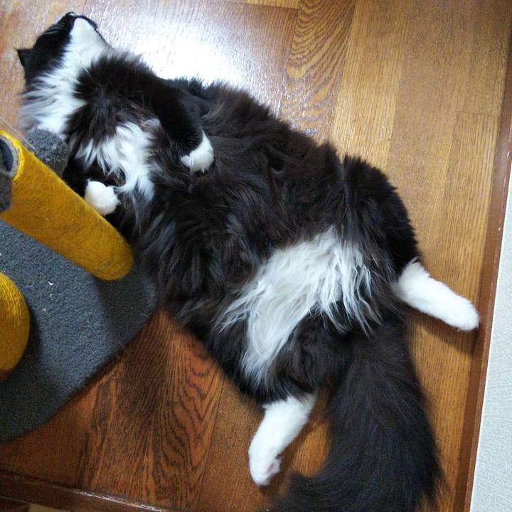 69ffda40 9e98 4f4f 991f 0672b9bfece1 1654087549691