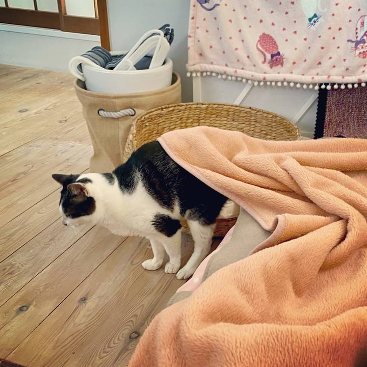 6a0013ec bca8 49b6 9b31 154df2561e6d 1615937066656