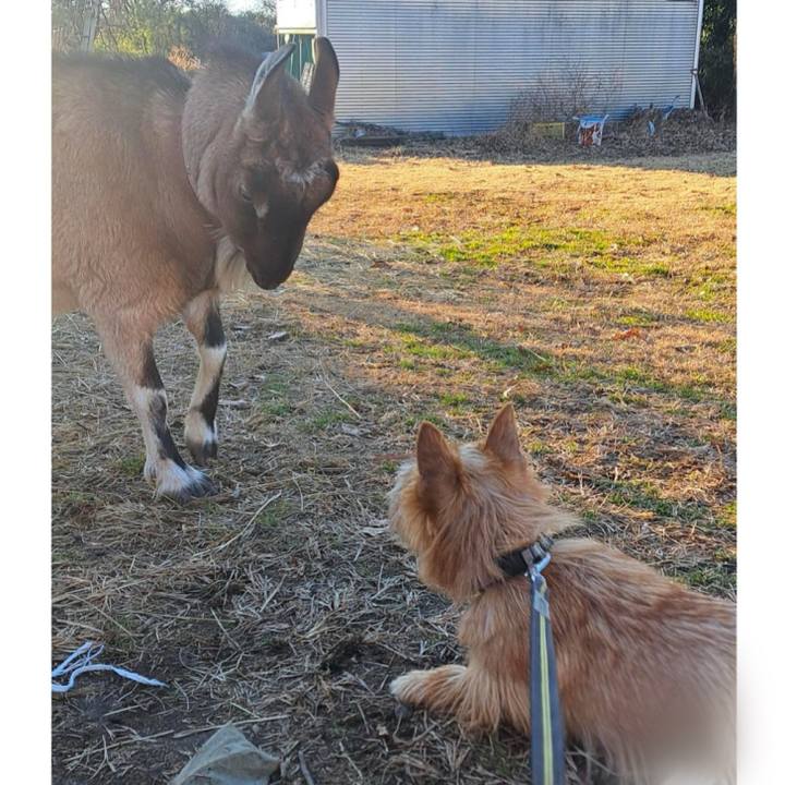 6a0049e7 e993 4839 be9d f891d4f35c0b 1736655101071