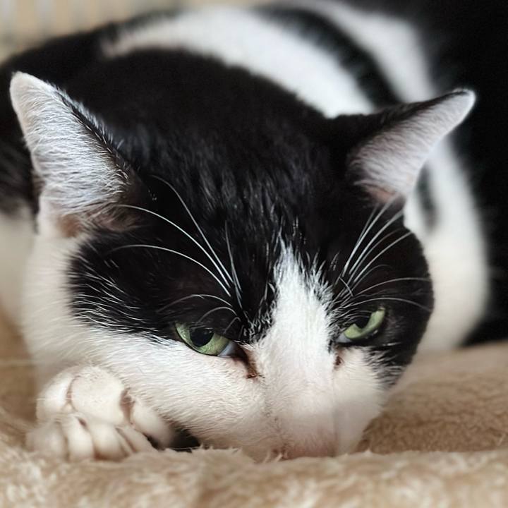 6a0059c3 db8c 4c71 90ec 2989badee738 1705714768570