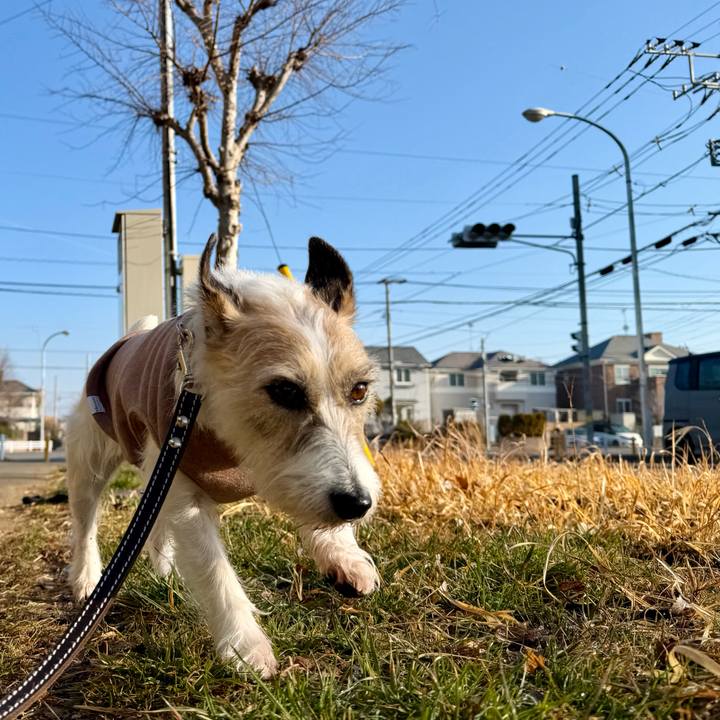 6a007db8 481e 4290 b874 c3d65aa31ae7 1771735865987