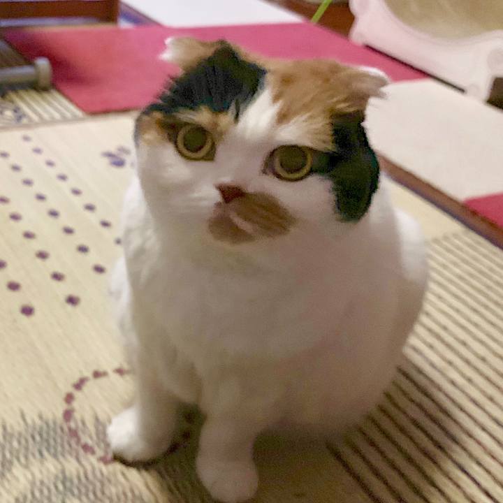 6a008e0a 107f 49fd b776 d6c43cd041e3 1565276891191