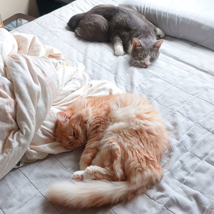 6a00a744 8c10 436b b2db 03db86c0a6a8 1661050940602