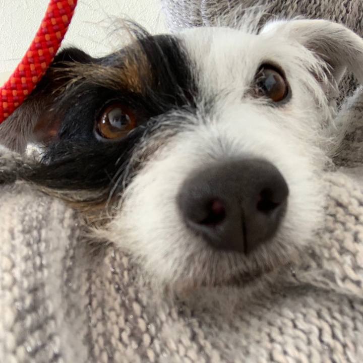 6a00b323 45f3 4244 b974 3079f38256ed 1551851289558