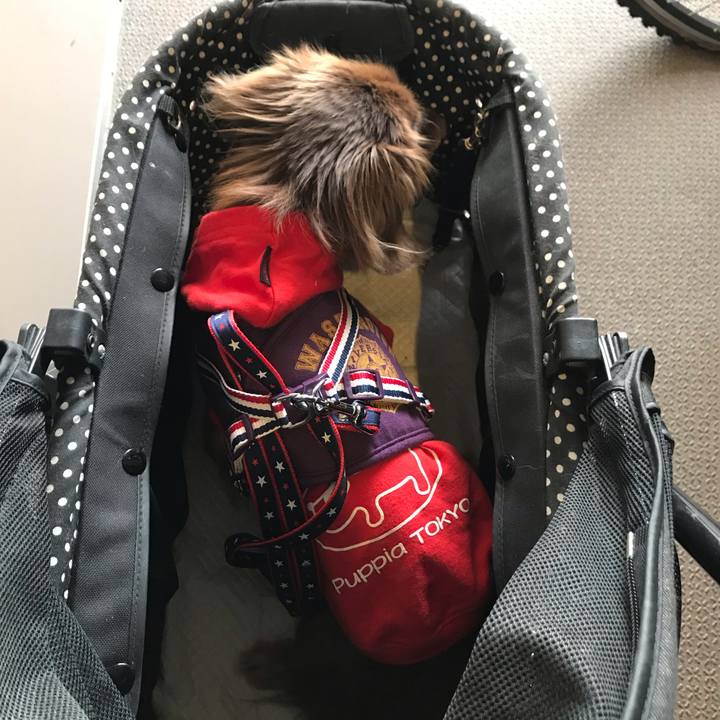 6a00bba1 dbf3 43d4 8032 73ce0f7a9e46 1583912373350