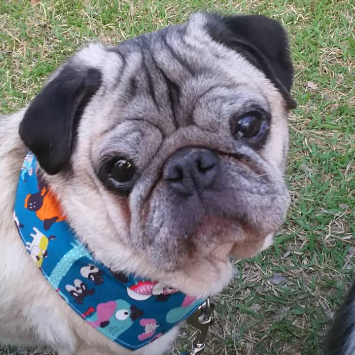 6a014554 d5a4 4db4 9faa 62771f14c11c 1641875398988