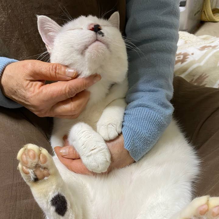 6a017d05 0538 4930 aa08 0d6439099412 1580558452221