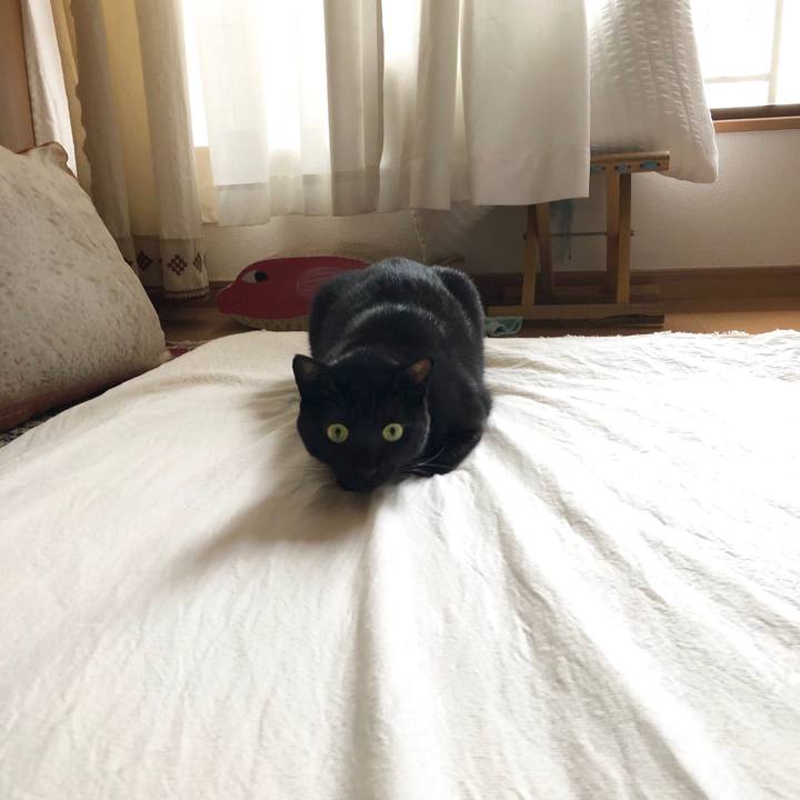 6a018eeb bbc8 4a1c 91cd d8a643624dc1 1544259085650