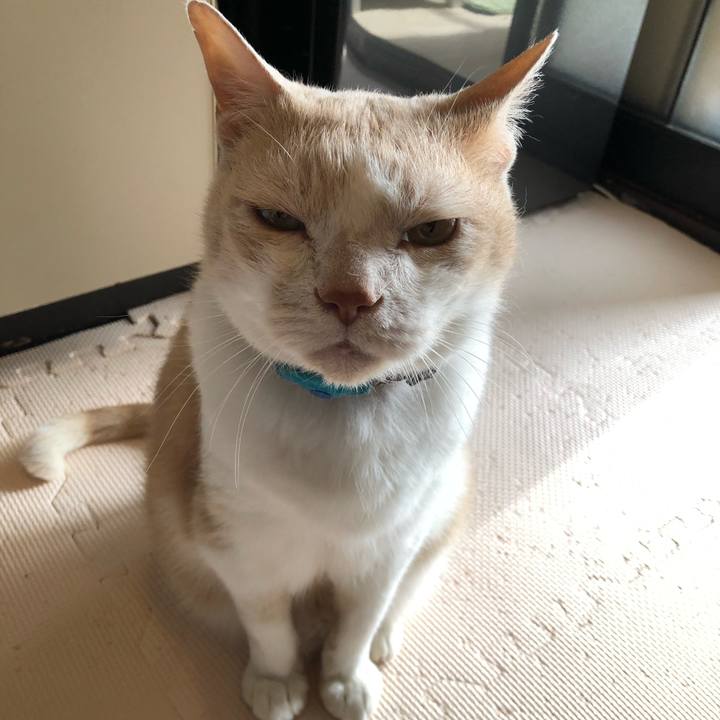 6a019dd2 62cc 46c3 82ef e90bb51db0d0 1621982399731