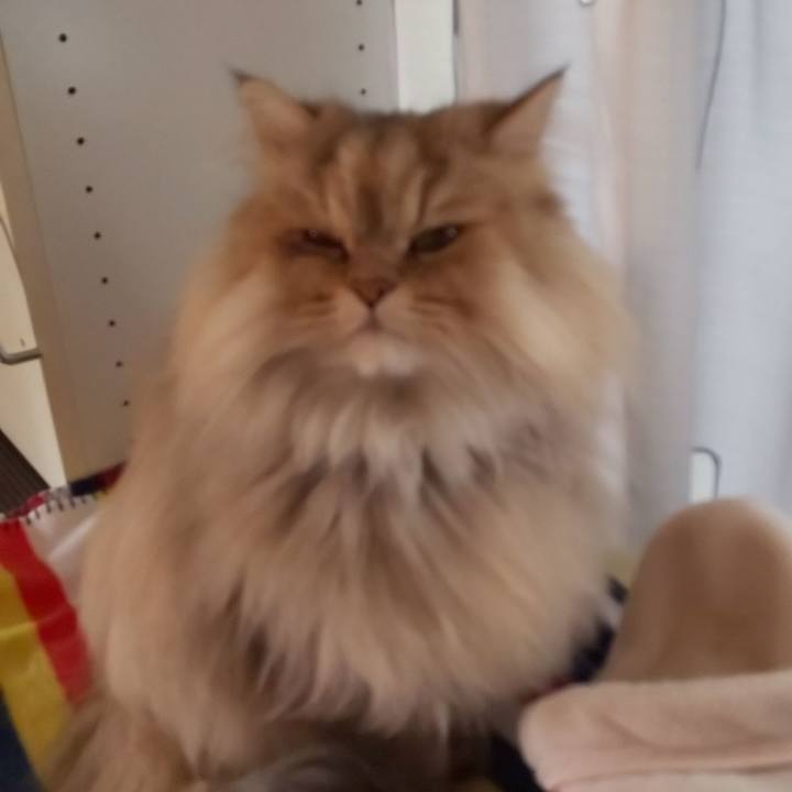 6a01b3d0 11f3 49da b0d1 24577d420586 1607471980152