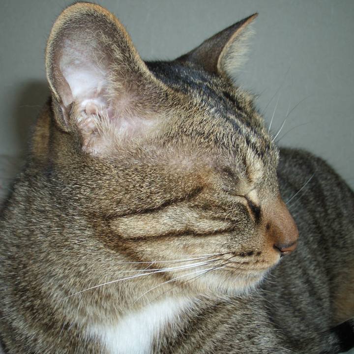 6a01bc21 f9ea 4965 af49 c5605150c87f 1583748742476