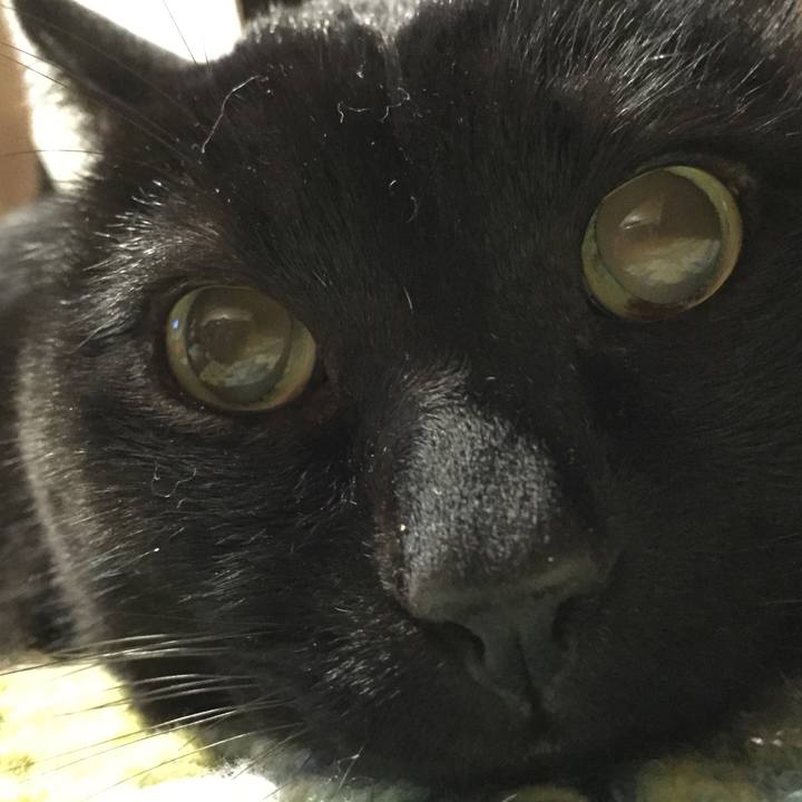 6a020302 7f1c 406b a567 4d3f45dfb8ce 1573299147270