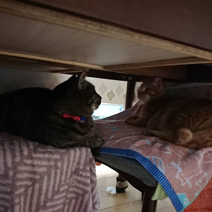 6a0219bb 01c0 4782 b8c8 97e68766c6aa 1642797303224