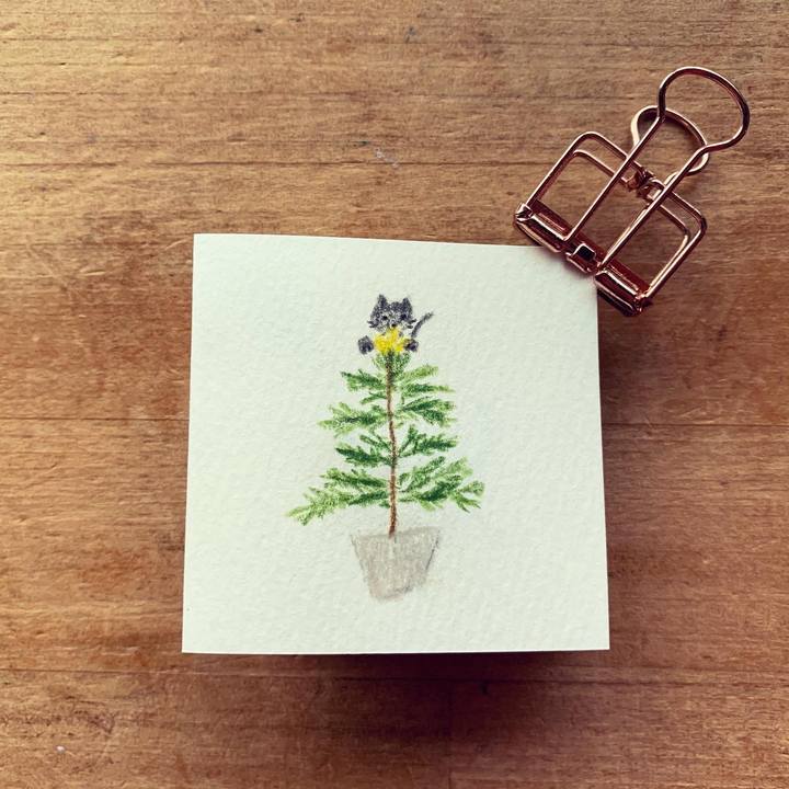 6a022fd6 8e5e 40b4 aca5 38b597fe8a84 1639640233119