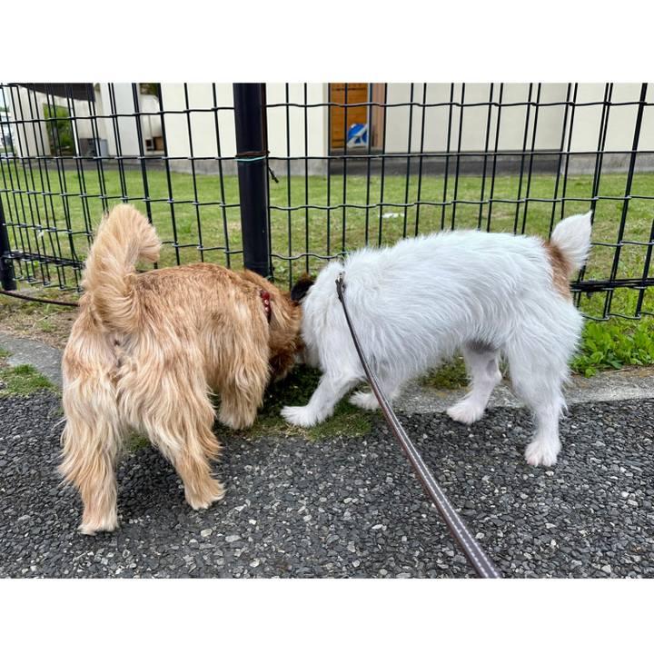 6a024fb6 47f8 453a bff3 d48d7013002a 1746356241751