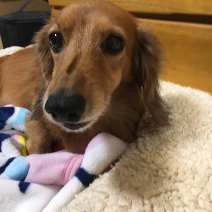 6a026112 e083 4326 a076 71643a9b48c7 1576496346451