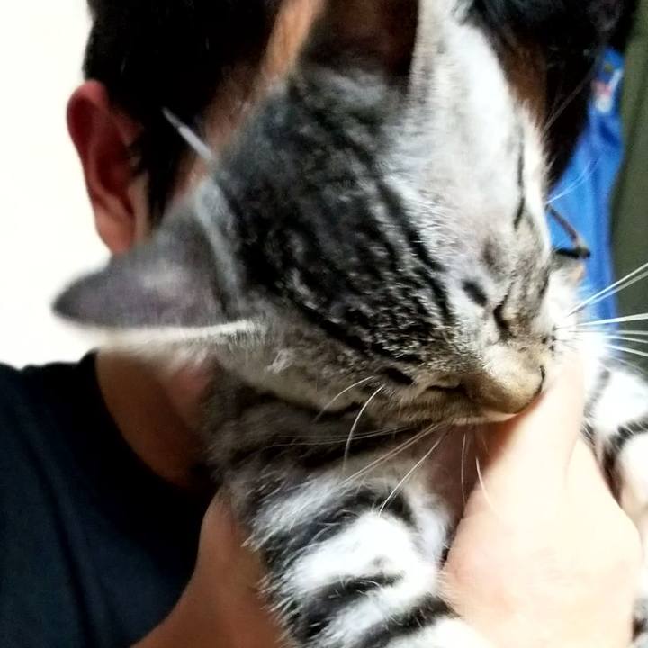 6a0289ce 3029 4fda a5b6 e04993ec149b 1664796352118