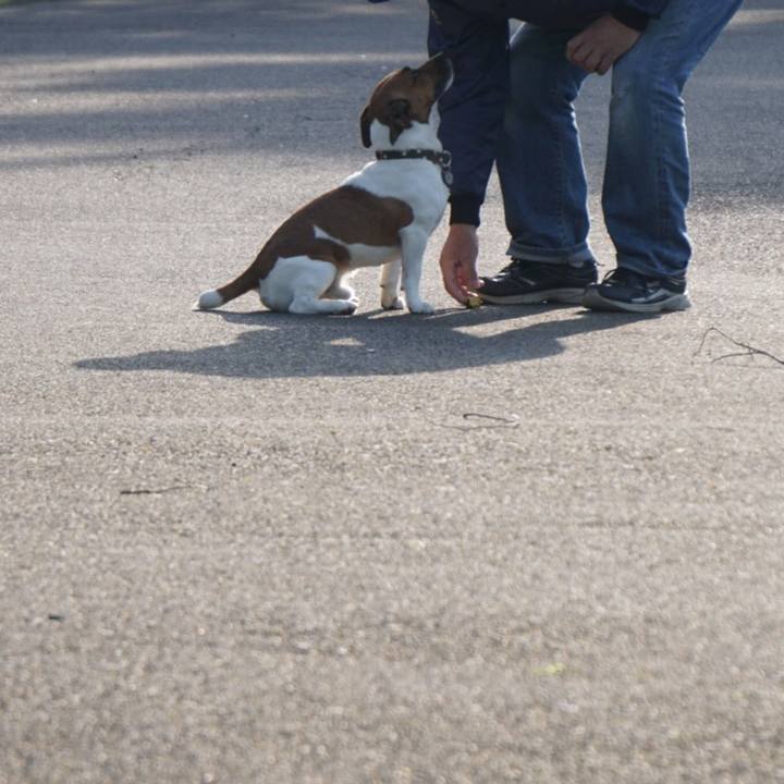 6a029de1 2e75 4e25 b273 88f06da9ed06 1523058835147