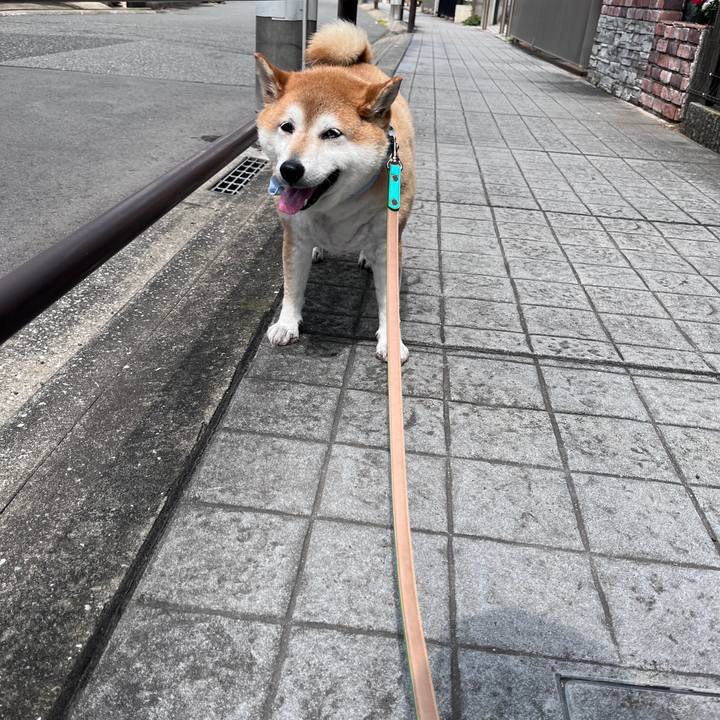 6a02a5d6 da94 4daa 9ed0 2f53de4f195d 1718584345195