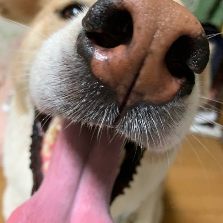 6a02adc4 6db6 45f2 84a6 9e4c962f66d7 1567866757354