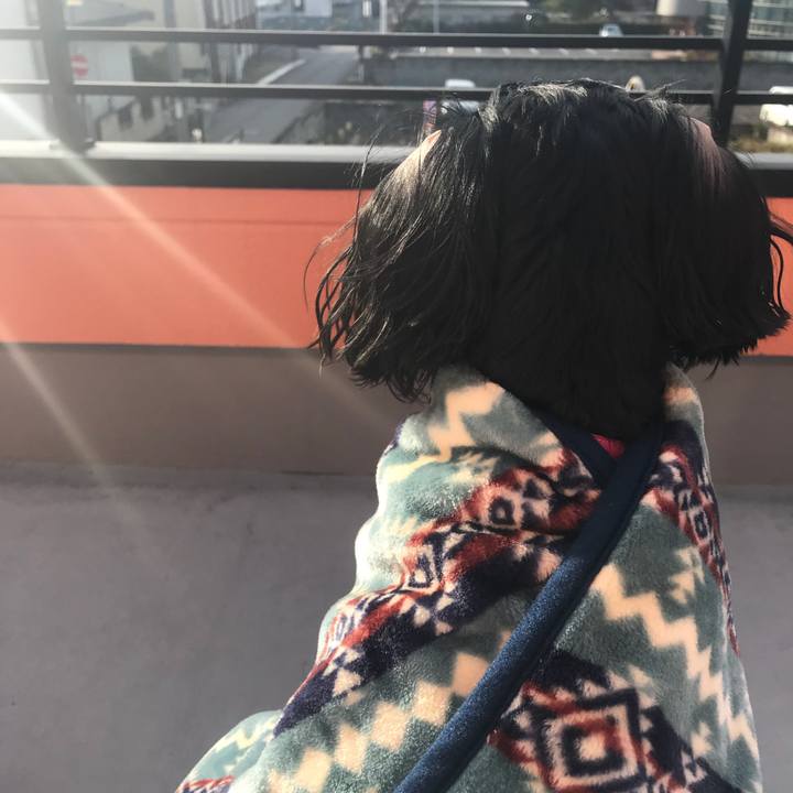 6a02c000 01c8 46f6 b795 afc540b2f446 1511963327002