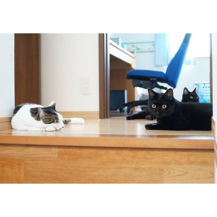 6a02db94 6626 42a9 937f ca3355a0441f 1530056748120