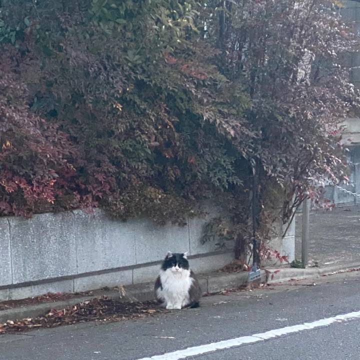 6a0322cb afd3 4891 9dda c41638fd9448 1611627088109