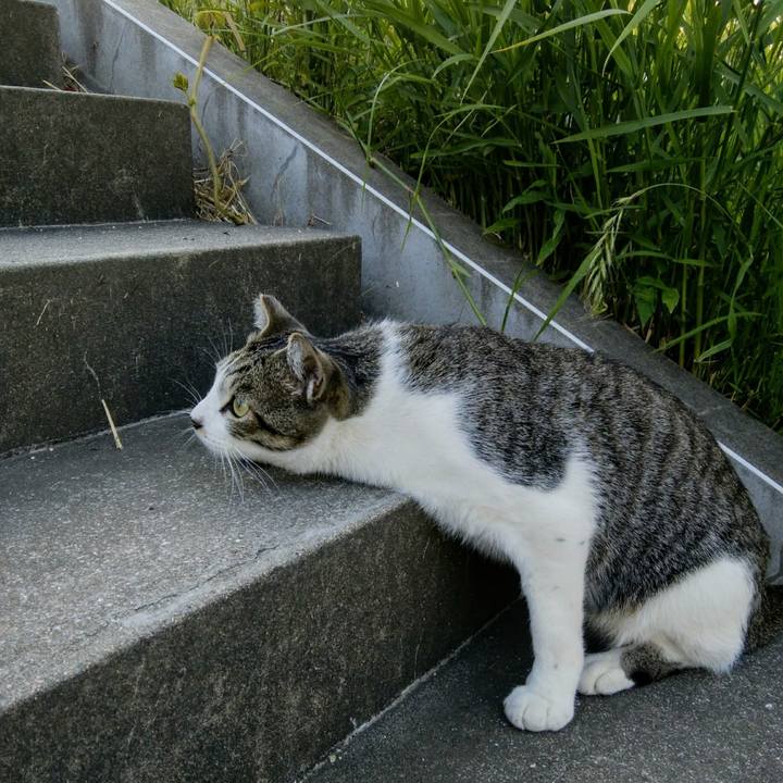 6a038387 6a78 4673 aa18 56d2a7e2f13f 1558698167915