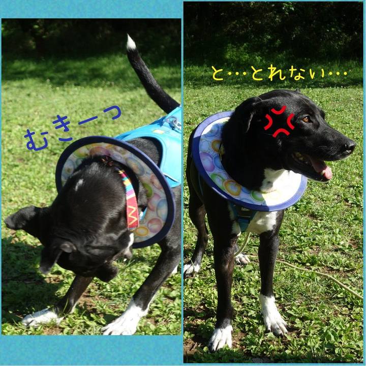 6a039885 b3d4 47b5 b9ba 2c8858e4eb11 1619049916774