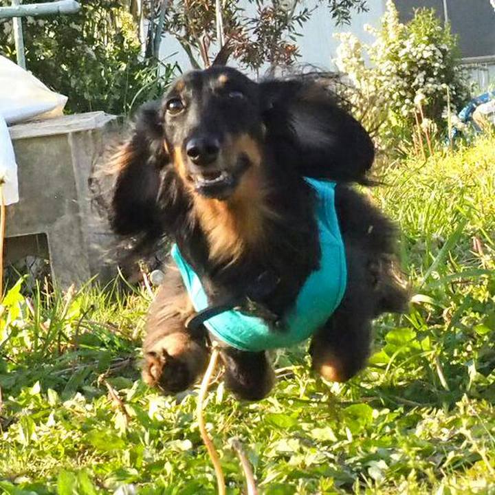 6a03a324 520d 4129 88f3 f897d093156a 1525053083542