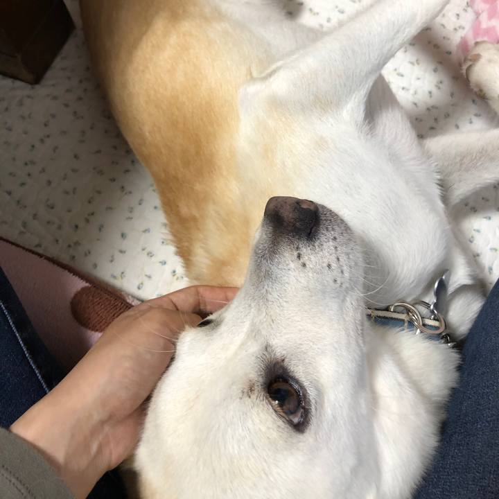 6a03aac8 c692 4703 a40f 7e352b7aad5f 1628822363148