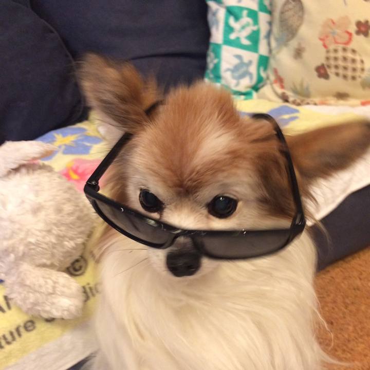 6a041bf8 3d80 44a7 8992 9c088a928f9e 1558326876972