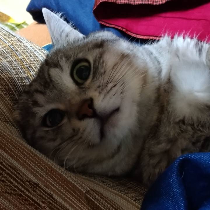 6a043008 cff4 4cdd 88ca d31924bbe80d 1677161238558