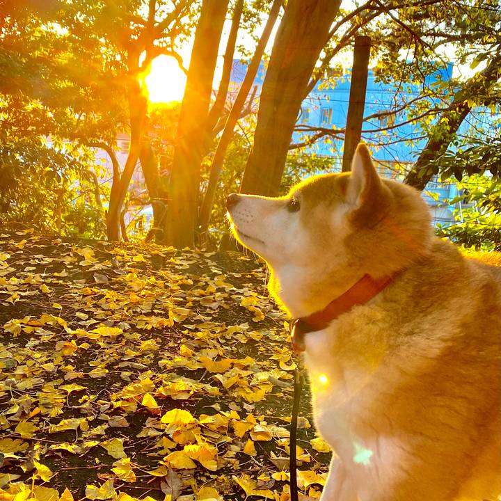 6a04338e 9d9a 48f3 8eea 7286786ef04e 1606400378784