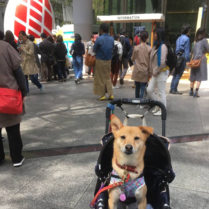 6a0464d7 daf9 4cf7 acf6 444929a20eec 1555734366985