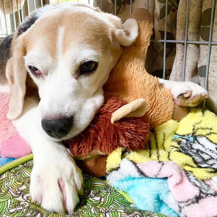 6a046f3c 9cb5 48bd b851 9ca7665776b9 1593056889000