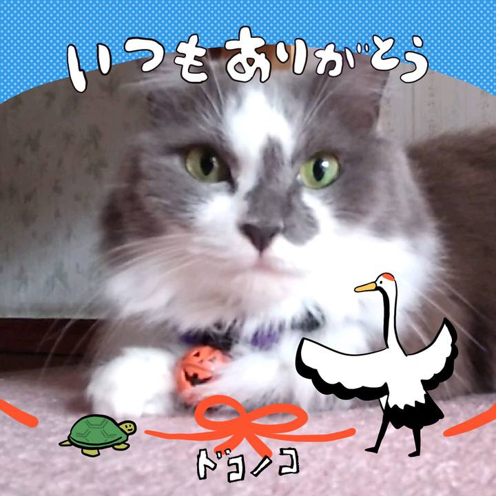 6a049d96 590f 4b9a b7e7 ce80abb4a7a3 1727249233230