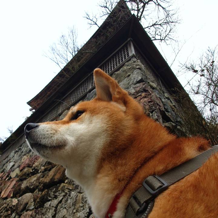 6a04a81f 1834 47f3 a541 a3c3b0e578c1 1767094231309