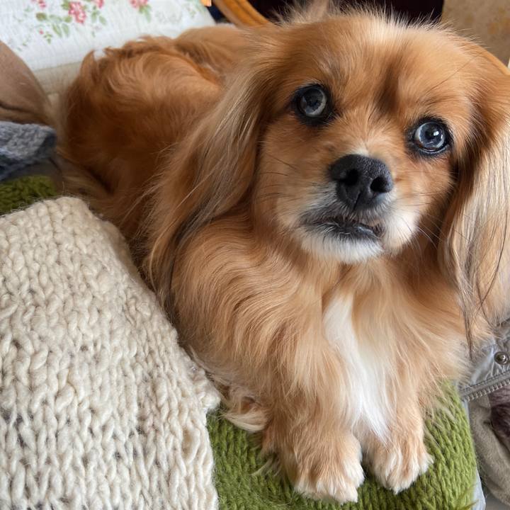 6a04ad8a fd96 4616 8bf8 487a8bddf664 1641082626831