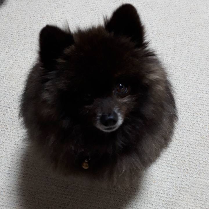 6a0514fe 33bc 4384 a945 3d90dabe3080 1545913303435