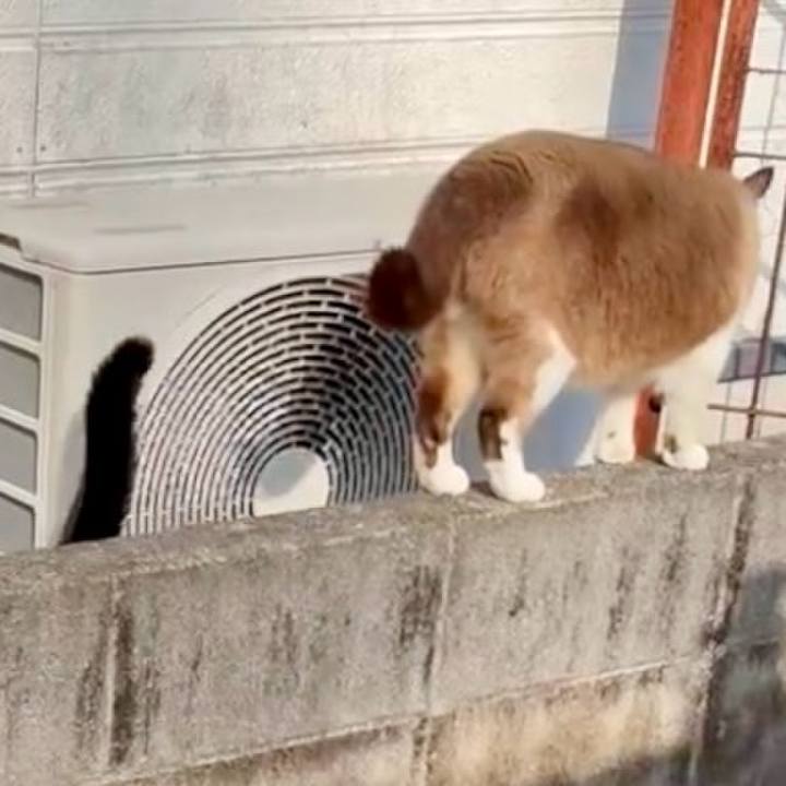 6a052422 87ab 45a4 ab64 7943d669ff65 1773908026398