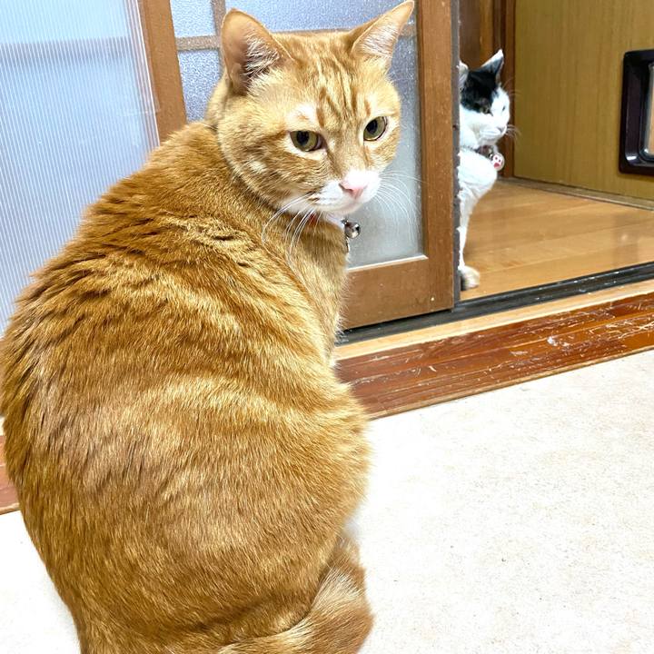 6a05950a 8254 4866 905a 424b9f1da786 1742823636985