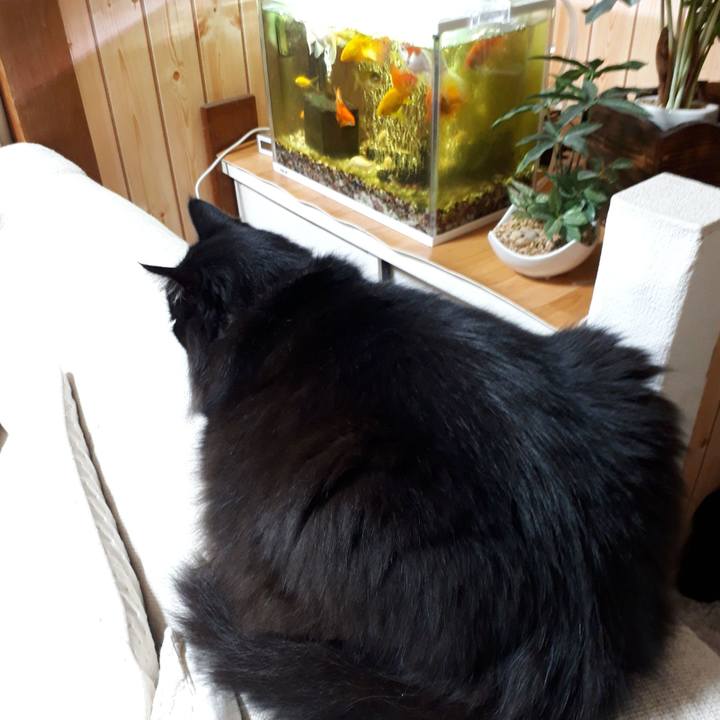 6a059b1c f447 4451 a256 0365c4988b1e 1520284513556